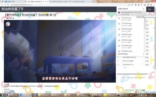 类似fl47的国产视频网站,揭秘类似FL47的本土热门网站